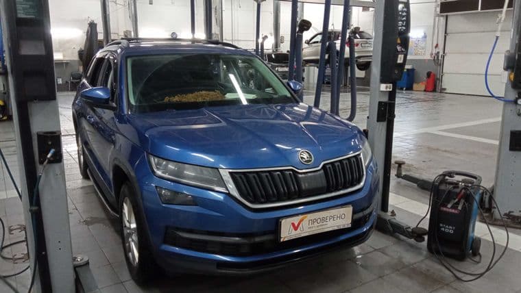 Skoda Kodiaq, 2019 - вид 1