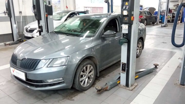 Skoda Octavia, 2019