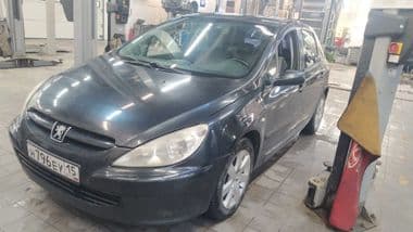 Peugeot 307 2003 года, 293 361 км - вид 1