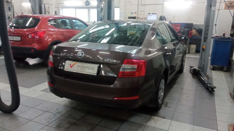 Skoda Octavia, 2014 - вид 2