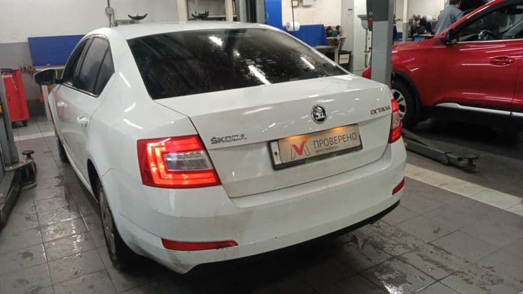 Skoda Octavia, 2016 - вид 2