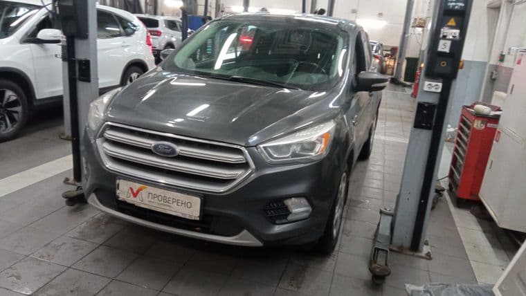 Ford Kuga, 2017