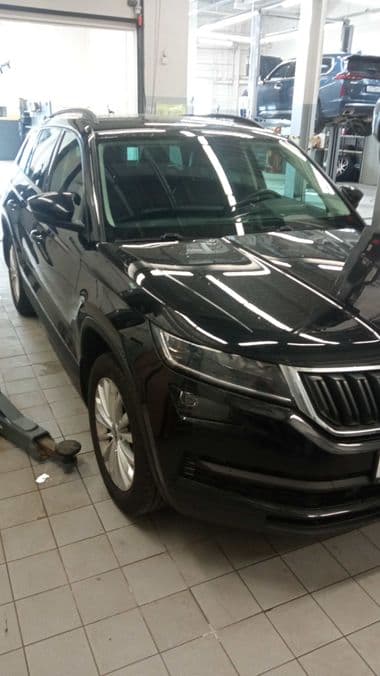 Skoda Kodiaq 2019 года, 120 576 км - вид 2
