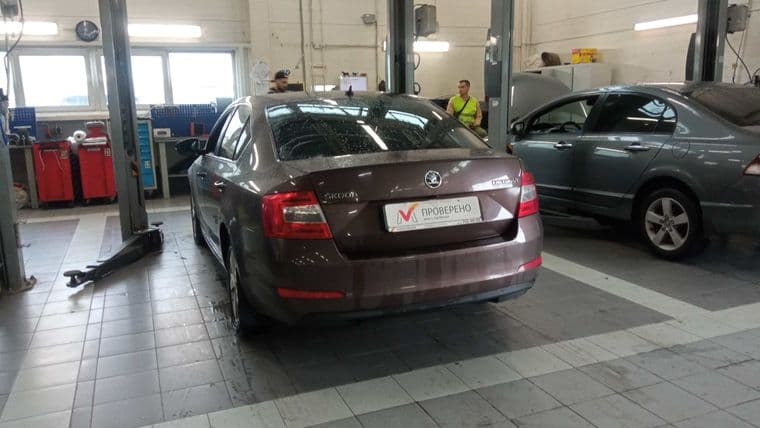 Skoda Octavia, 2016 - вид 3