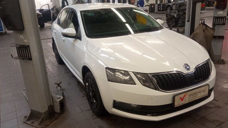 Skoda Octavia, 2020 - вид 1