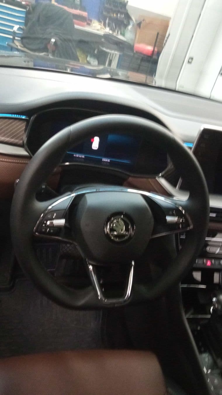 Skoda Kodiaq, 2023 - вид 4