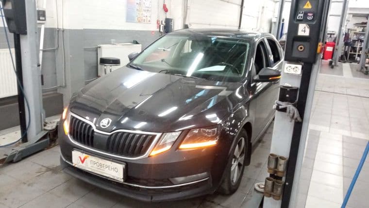 Skoda Octavia, 2019