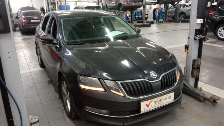 Skoda Octavia, 2019 - вид 1