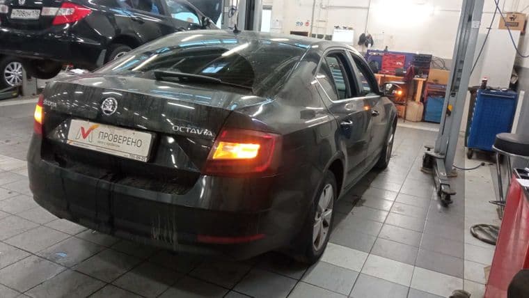 Skoda Octavia, 2019 - вид 2