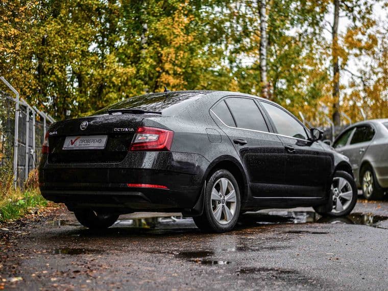 Skoda Octavia, 2019 - вид 1