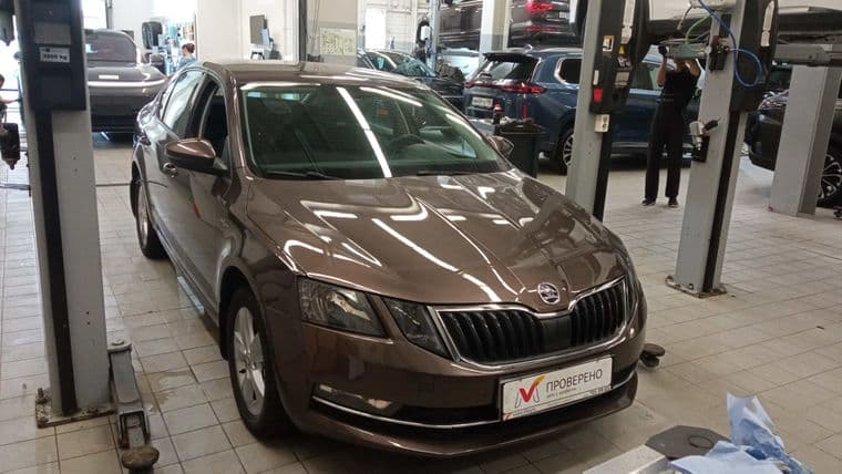 Skoda Octavia, 2018 - вид 1