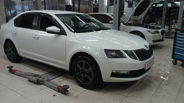 Skoda Octavia, 2019 - вид 1