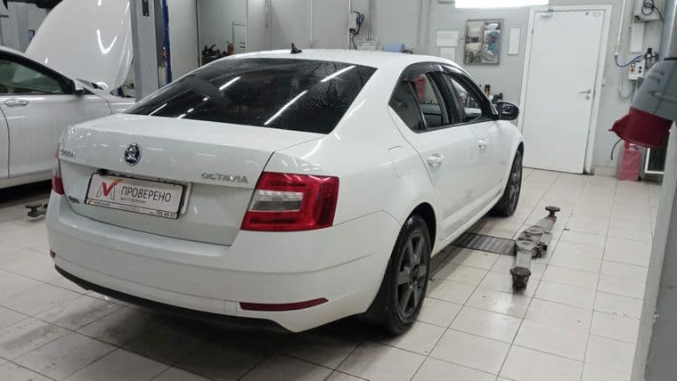 Skoda Octavia, 2019 - вид 2