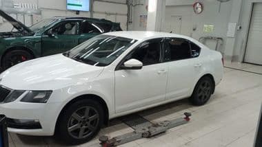 Skoda Octavia 2019 года, 248 971 км - вид 1