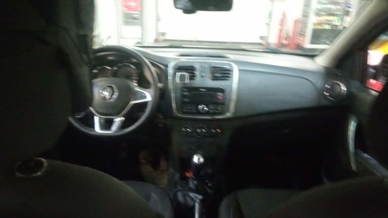 Renault Sandero Stepway, 2019 - вид 4