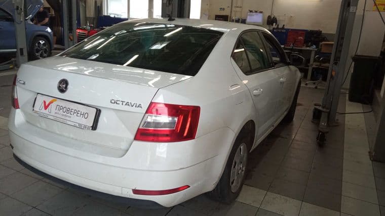 Skoda Octavia, 2018 - вид 2