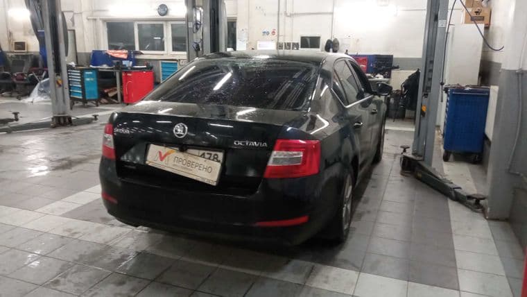 Skoda Octavia, 2014 - вид 2