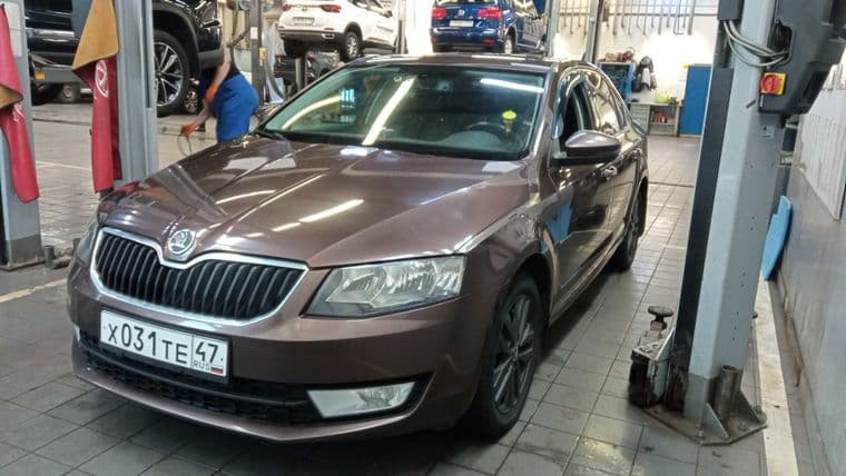 Skoda Octavia, 2014