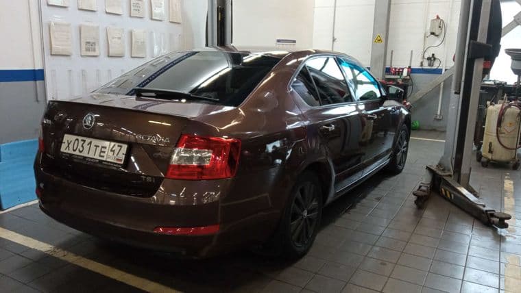 Skoda Octavia, 2014 - вид 2
