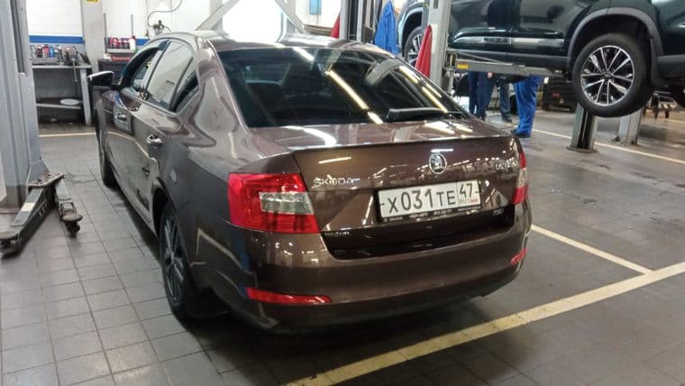 Skoda Octavia, 2014 - вид 3