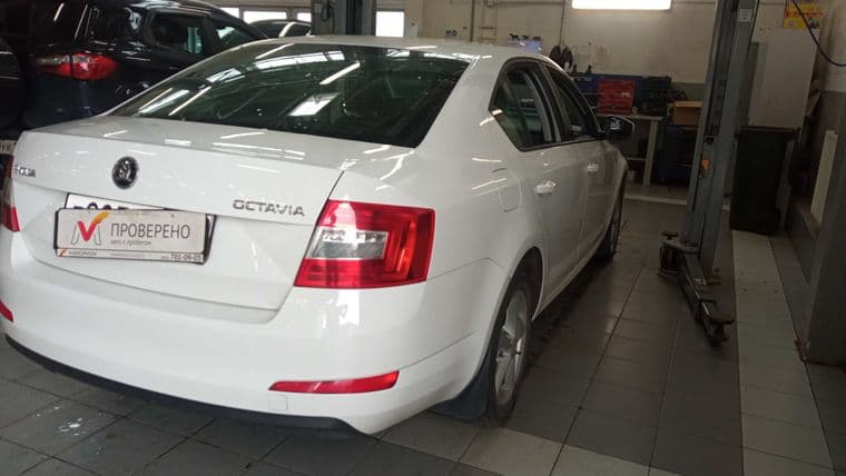 Skoda Octavia, 2015 - вид 2
