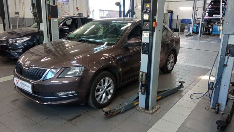Skoda Octavia, 2017