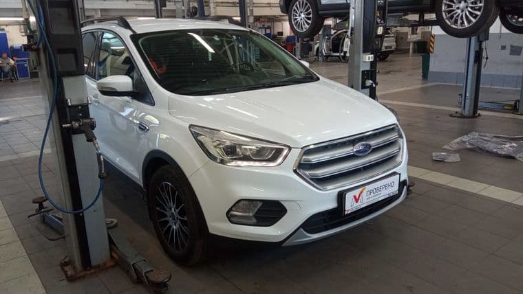 Ford Kuga, 2019 - вид 1