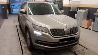 Skoda Kodiaq 2019 года, 103 800 км - вид 2