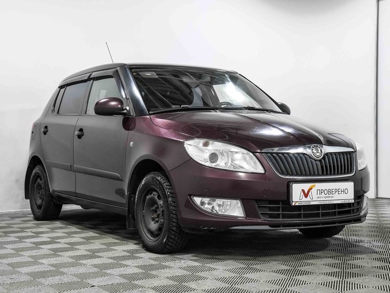 Skoda Fabia 2010 года, 142 115 км - вид 3