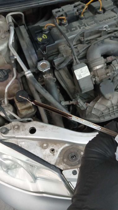 ГАЗ Volga Siber 2010 года, 269 778 км - вид 15